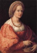 Andrea del Sarto Portrait of woman Holding basket Spain oil painting artist
